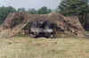 d005.jpg (71439 bytes)